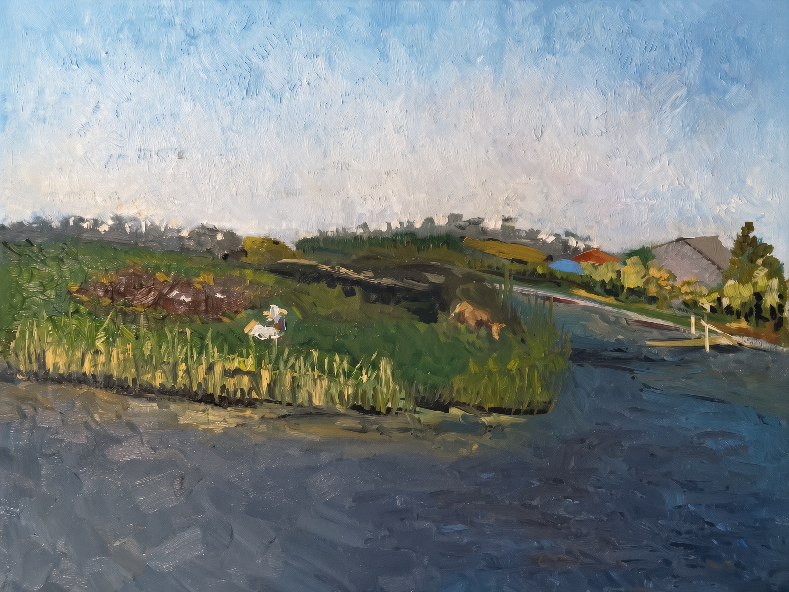 Evening on the Estuary, Southern Odesa Region