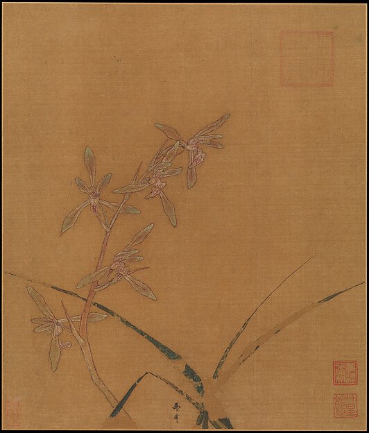 Orchids