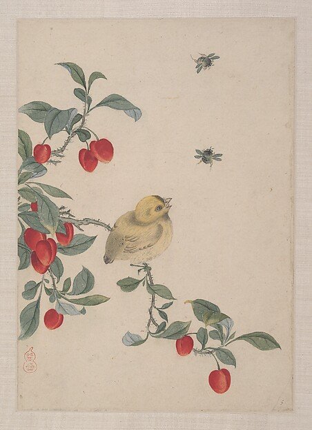 Birds, Insects and Flowers — Yi Zhai