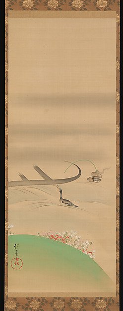 Cormorant Fishing