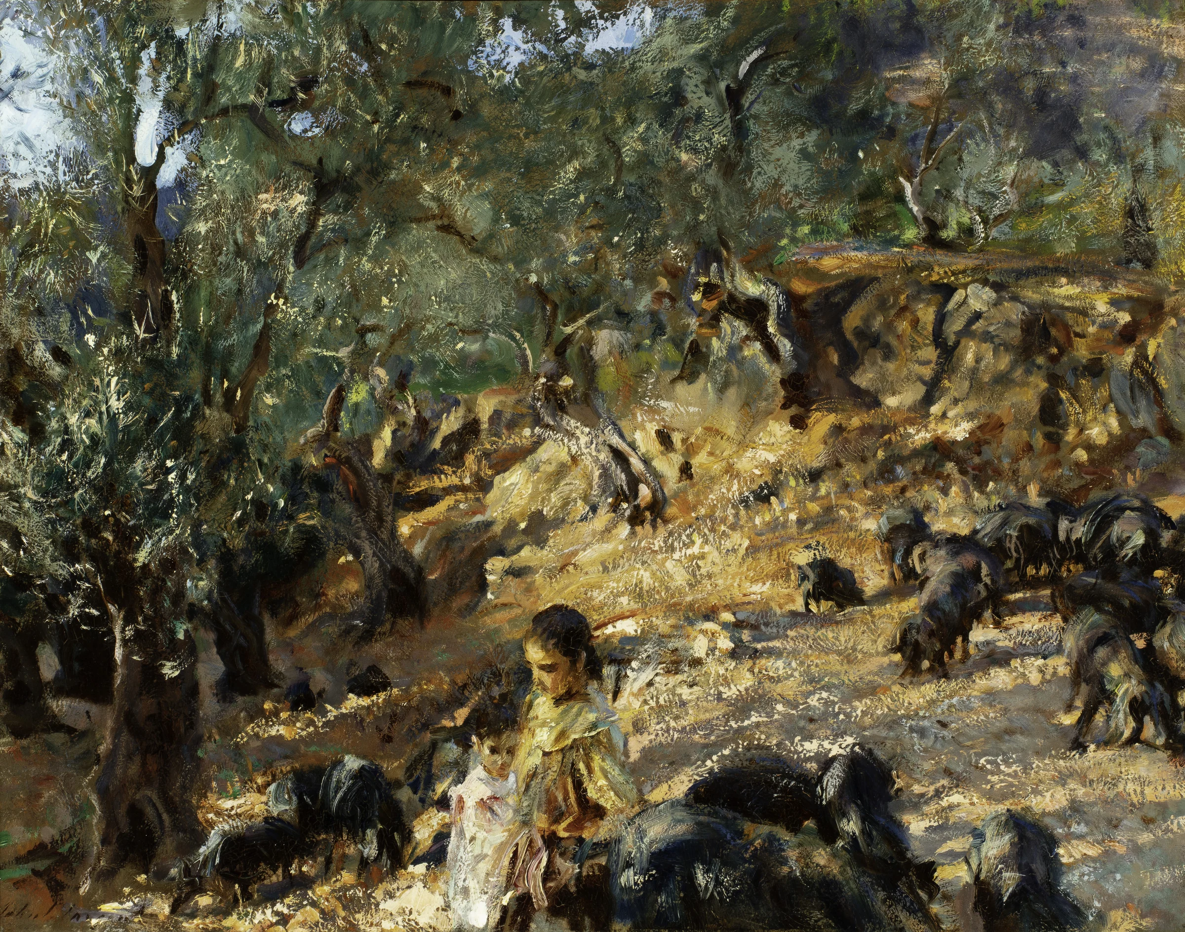 Under the Olives