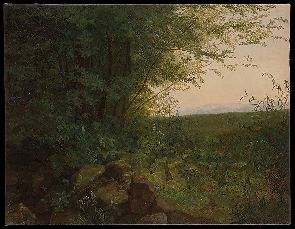 At the Edge of the Forest — August Heinrich