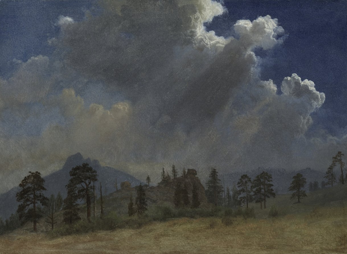 Fir Trees and Storm Clouds — Albert Bierstadt (American, born Prussia [now Germany], 1830–1902)