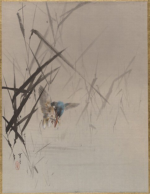 Bird Catching Fish Among Reeds