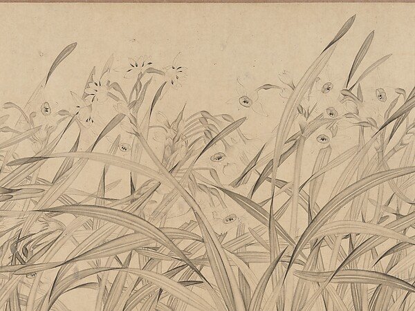 Narcissus — Zhao Mengjian
