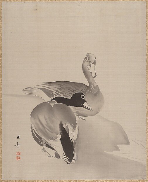 Pair of Ducks