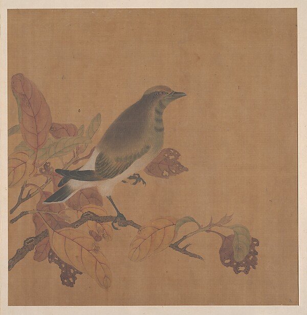 Bird on Branch