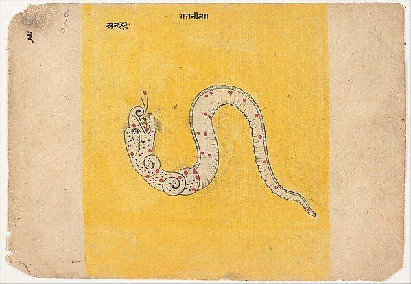 Page from a Dispersed Book of Dreams
