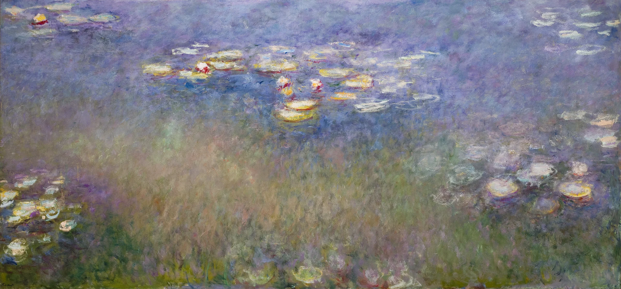 Water Lilies