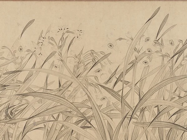 Narcissus — Zhao Mengjian