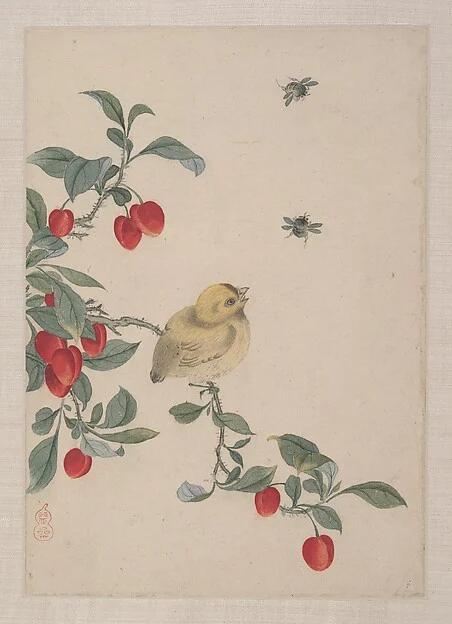 Birds, Insects and Flowers — Yi Zhai