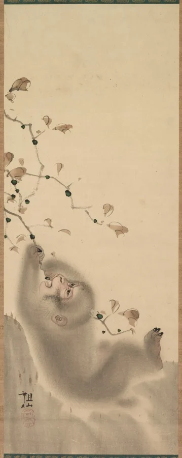 Monkey Hanging on to a Branch — Mori Sosen (Japanese, 1747–1821)