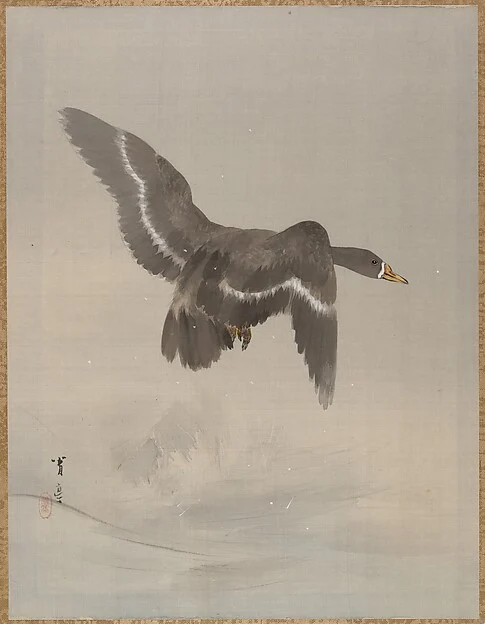 Flying Goose