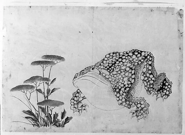 Toad and Flowers — Hokusai School