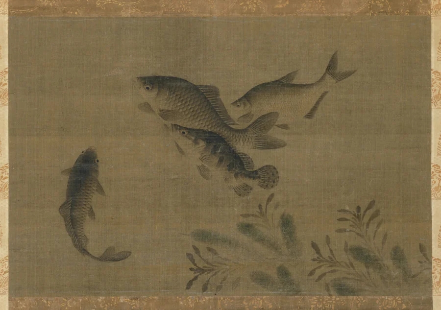 Fish