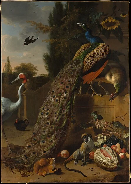 Peacocks — Melchior d' Hondecoeter