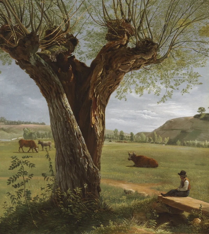 Pollard Willow — Pierre Jean Boquet (French, 1751–1817)