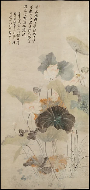 Lotuses on a summer evening