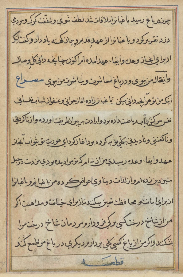Page from Tales of a Parrot (Tuti-nama): text page