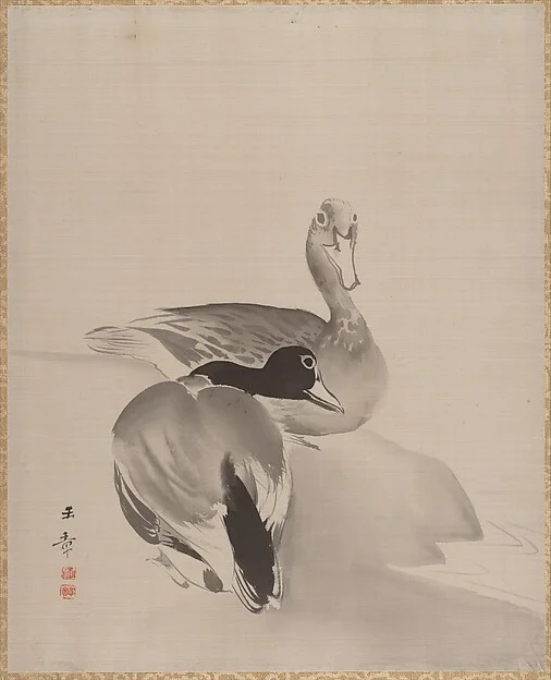 Pair of Ducks