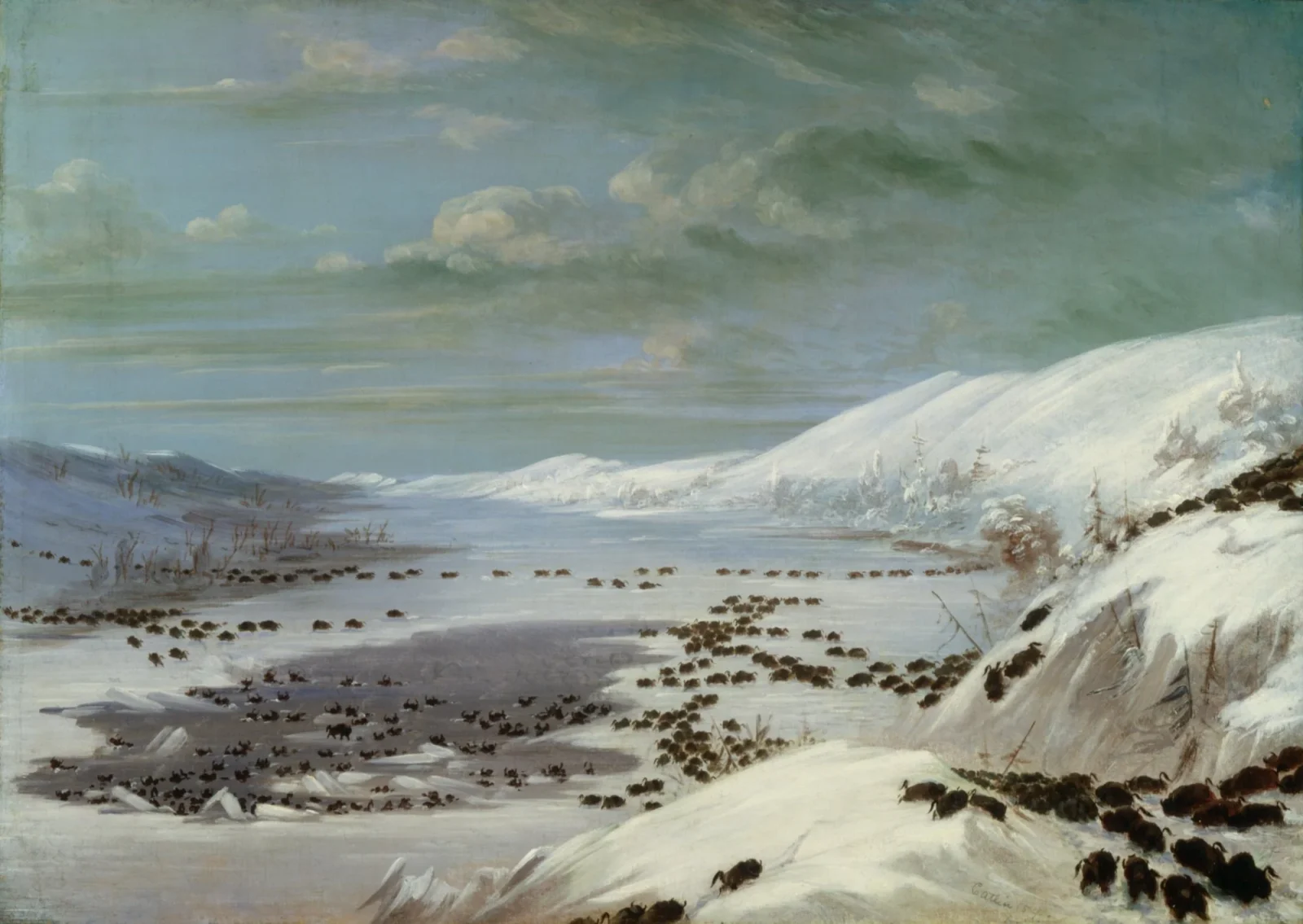 A Snow Landscape with Buffalo