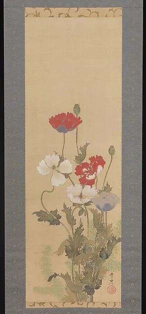 Poppies