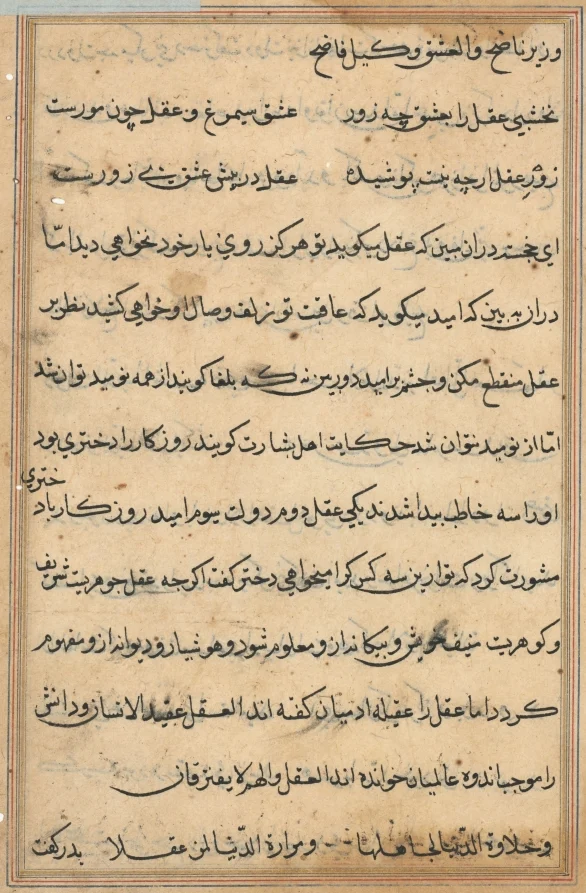 Page from Tales of a Parrot (Tuti-nama): text page