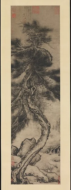 Dragon pine — Wu Boli