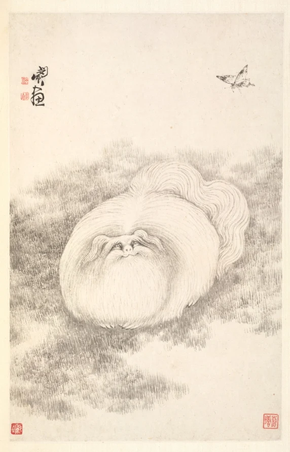 Cat and Butterfly — Min Zhen (Chinese, 1730–after 1788)