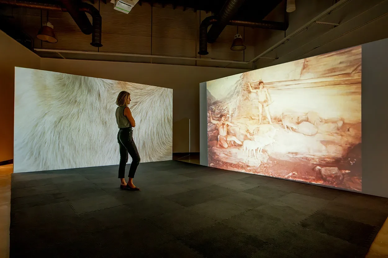 Erin Johnson Survey at UGA Athenaeum Blends Ecology, Science, and Film