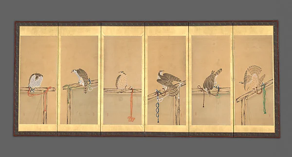 Tethered Hawks