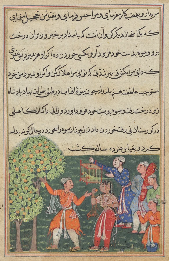 The king plucks fruit from the Tree of Life with his own hands and feeds it to a lady, from a Tuti-nama (Tales of a Parrot): Ninth Night — Suraju (Indian)