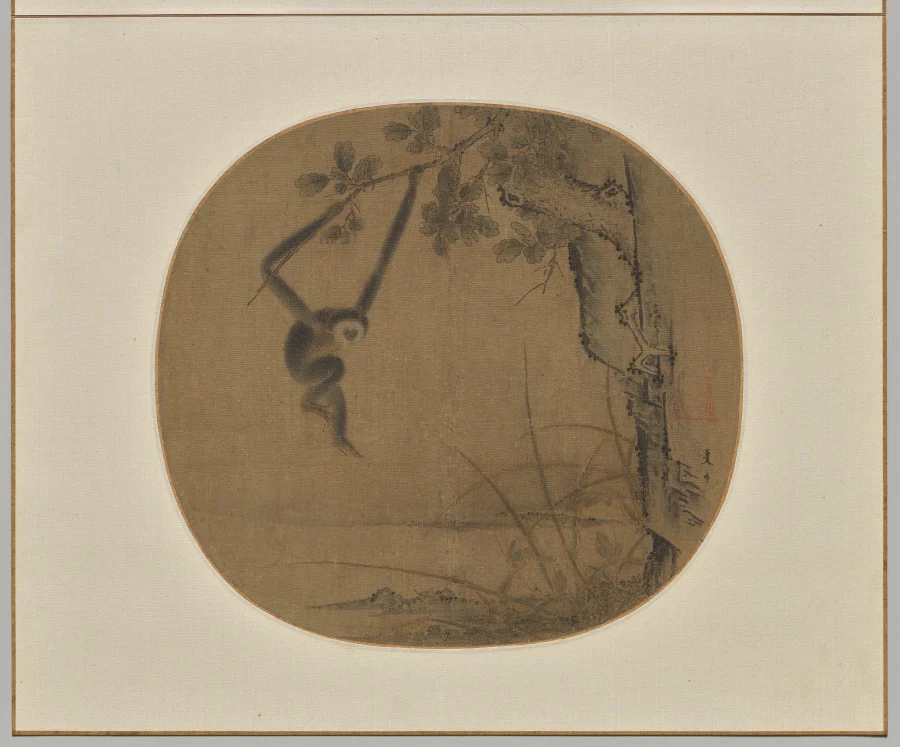 Swinging Gibbon