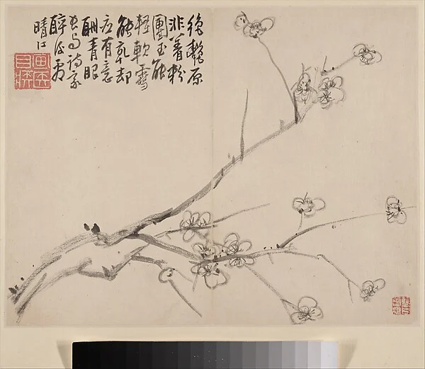 Album of Blossoming Plum