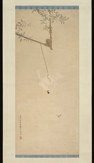 Cockatoo