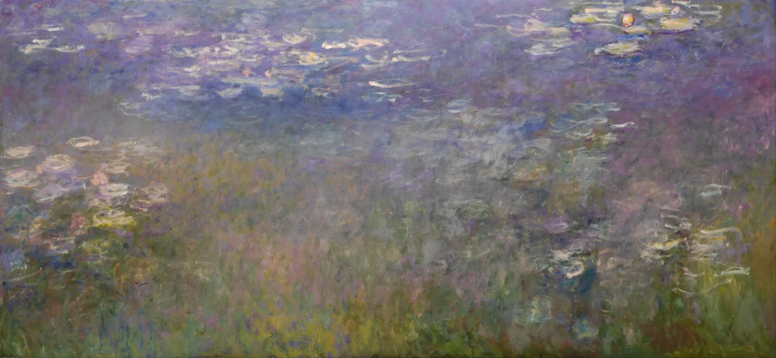 Water Lilies