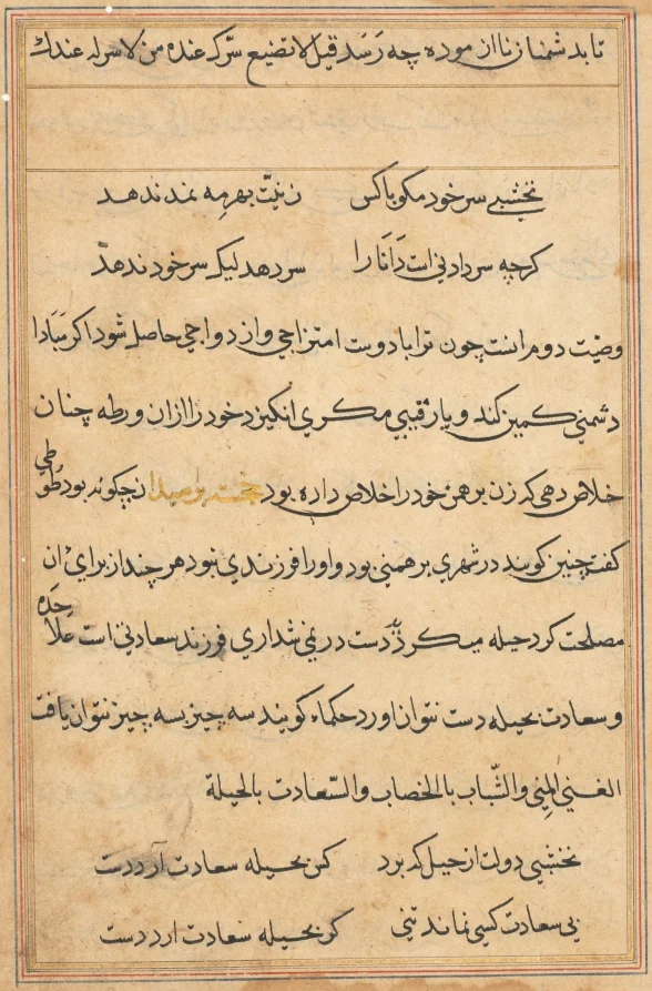 Page from Tales of a Parrot (Tuti-nama): text page