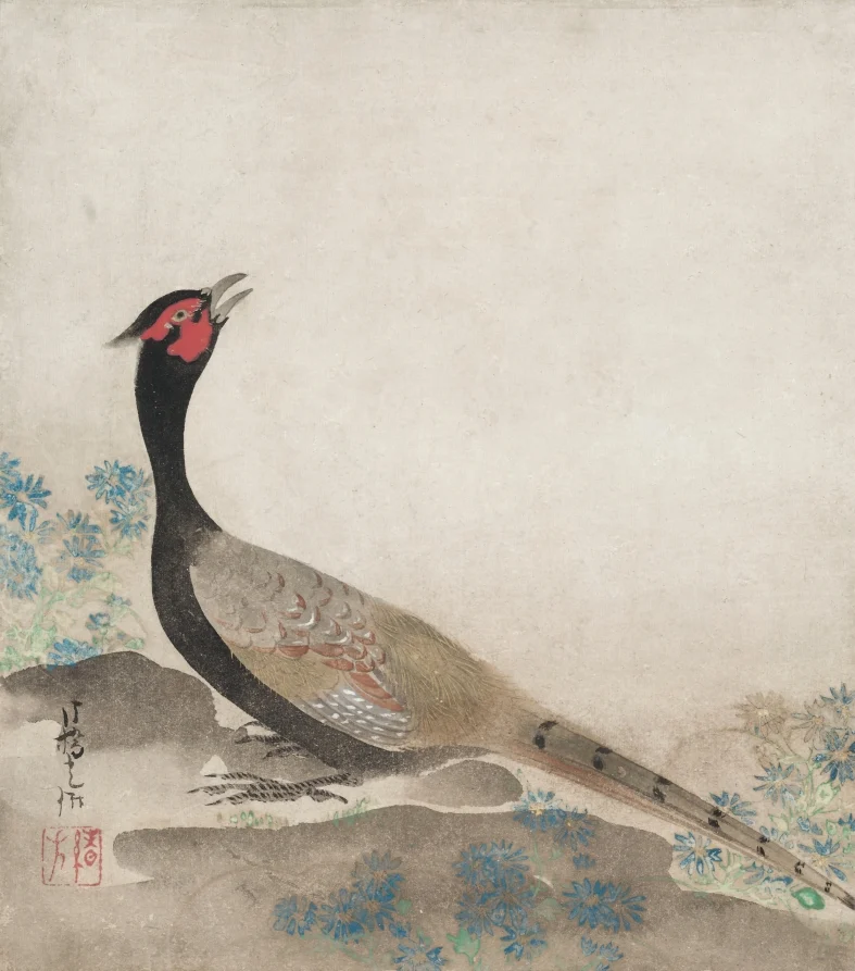 Pheasant — Ogata Kōrin (Japanese, 1658–1716)