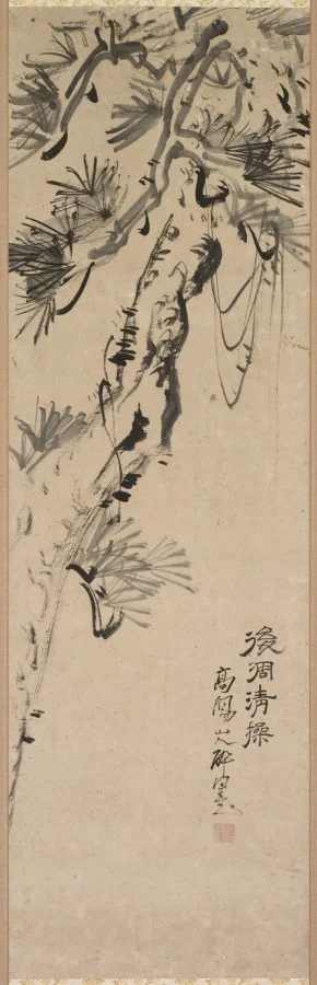 Aged Pine — Nakayama Kōyō (Japanese, 1717–1780)