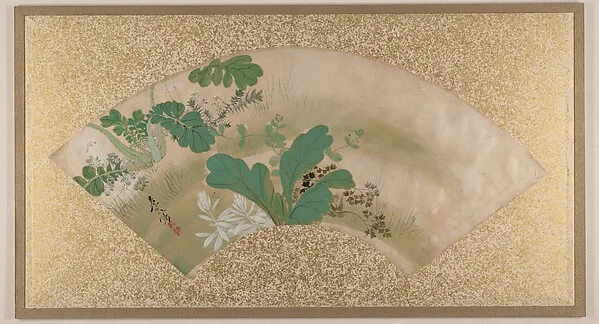 Various Plants and Grass