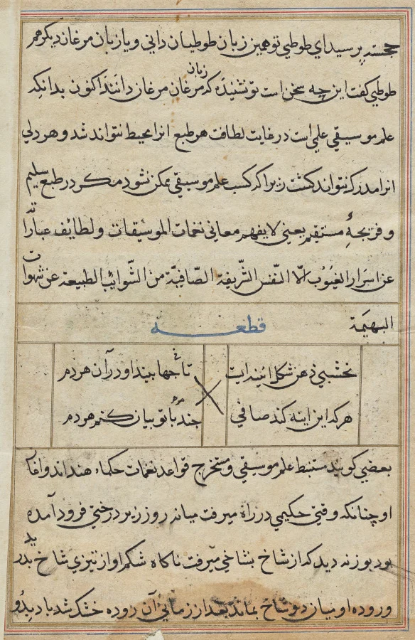 Page from Tales of a Parrot (Tuti-nama): text page