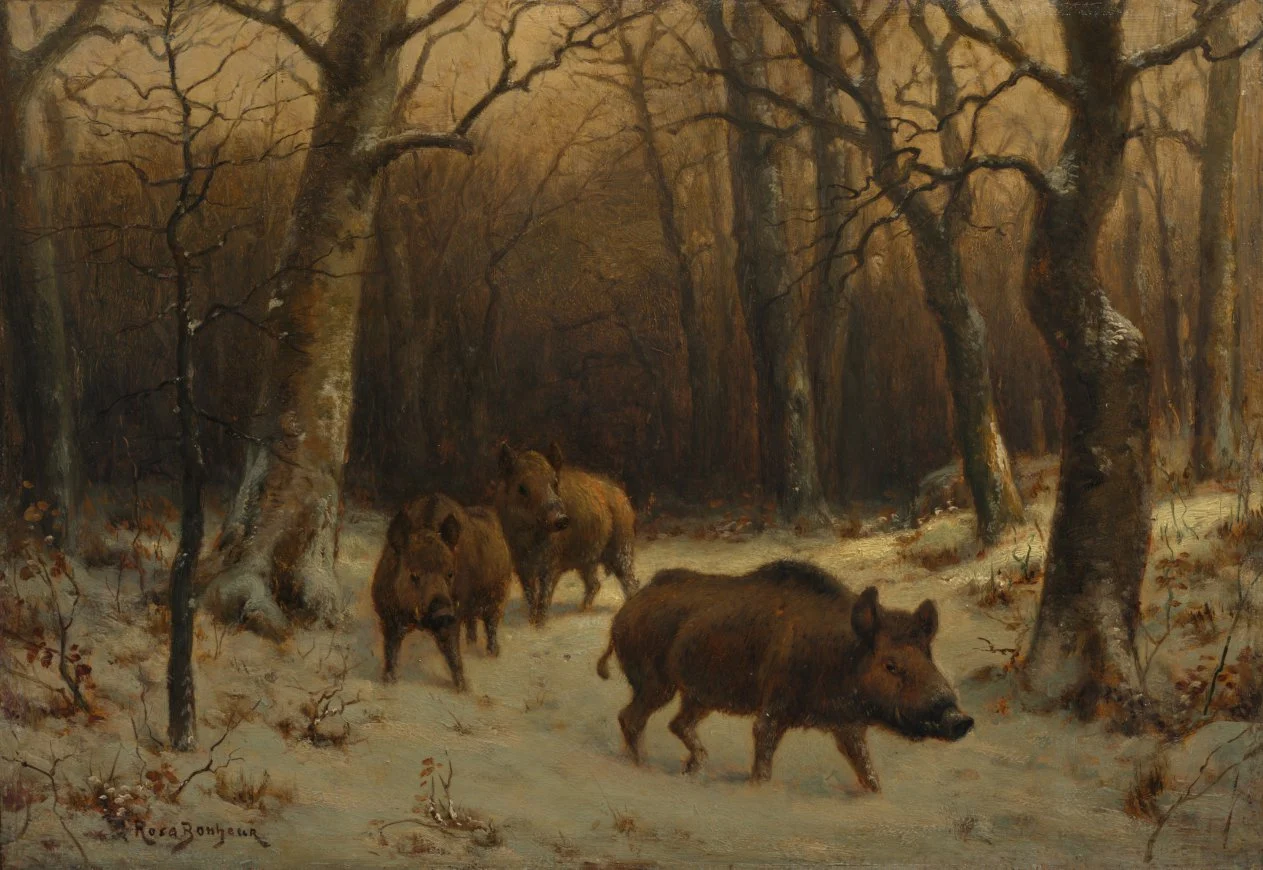 Wild Boars in the Snow — Rosa Bonheur (French, 1822–1899)
