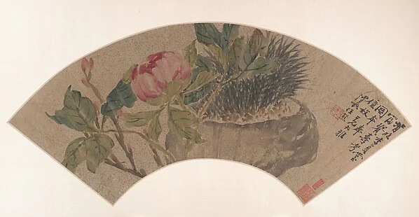 Peony