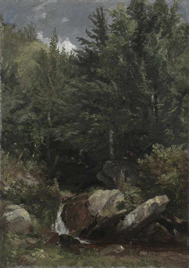 Trees and a Stream on a Hillside