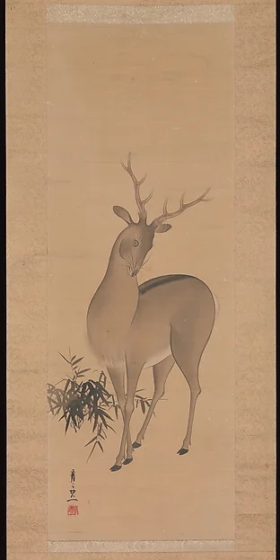 Deer