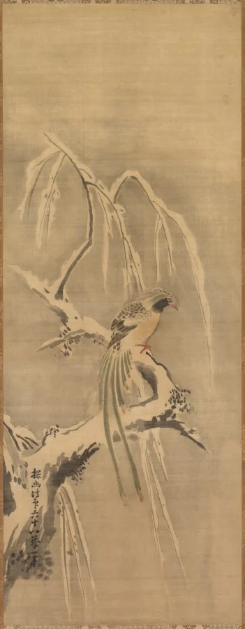 Chinese Bird on Snow-Laden Branch — Kano Tan’yū (Japanese, 1602–1674)