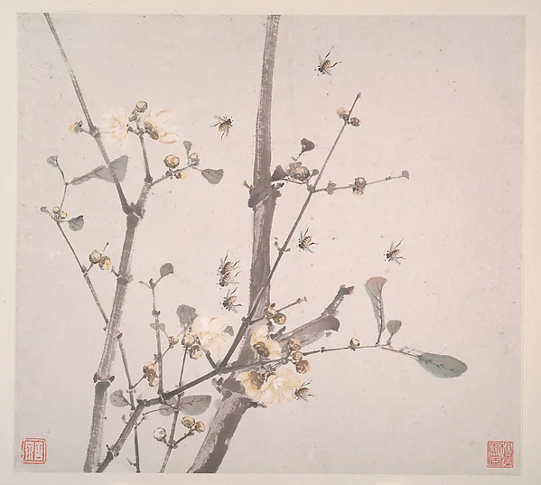 Insects and Flowers — Ju Lian