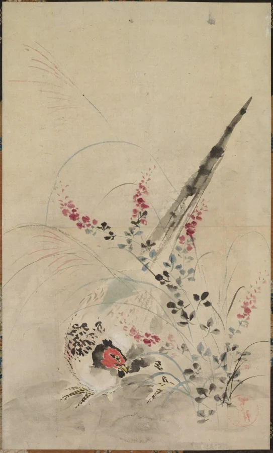Pheasant and Grasses