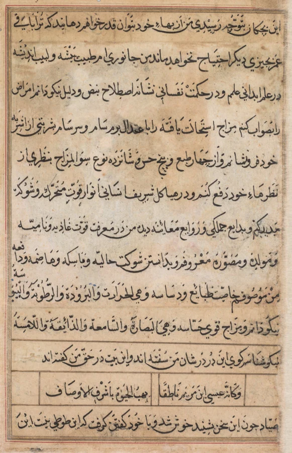 Page from Tales of a Parrot (Tuti-nama): text page — Basavana (Indian, active c. 1560–1600)