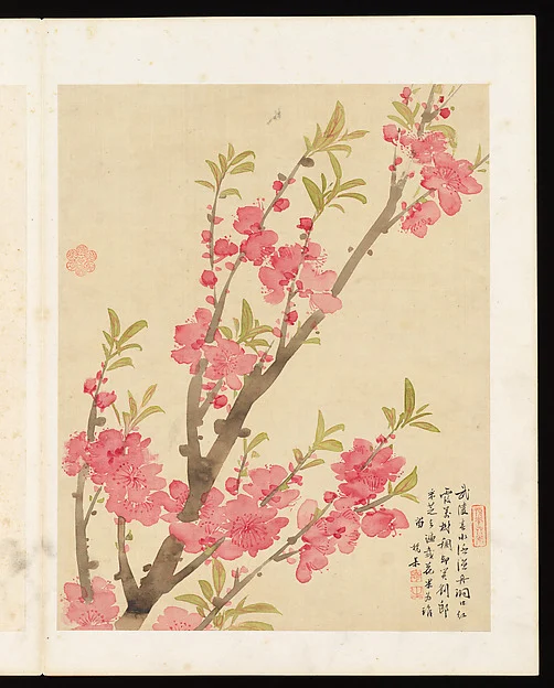 Flowers — Liang Yuwei